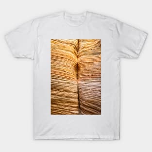 Lick Wash Trail Hike T-Shirt